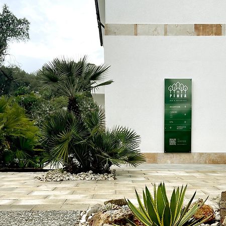 Pinea B&B Castellaneta Marina Ngoại thất bức ảnh
